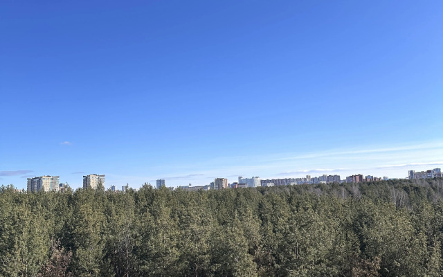 Apartamenty Armeriliz na Gatchinskoy Flat