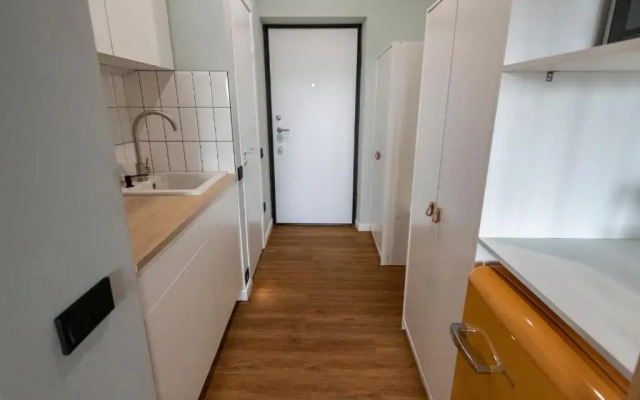 Апартаменты Дрим Апартменс 565 Студио с Большой Кроватью и Кухней