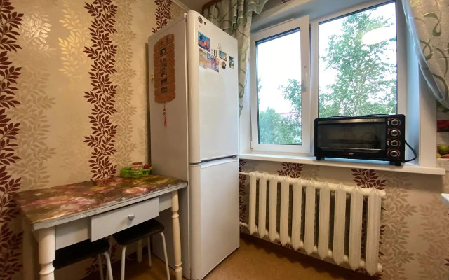 1-K Kvartira u Ploschadi Pobedy Flat