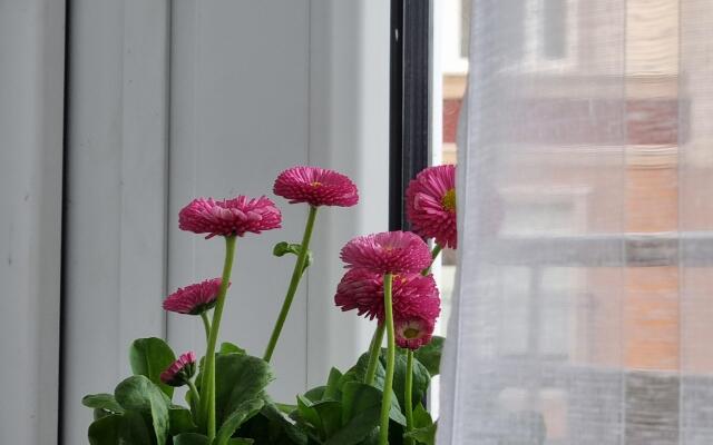 Апартаменты на Рабочей с видом на море