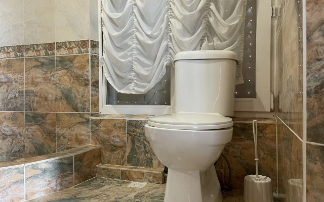 Частный дом Стиль Белого Льва