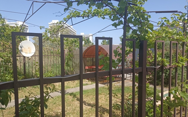 Studiya Na Pionerskom Prospekte 104-G Flat