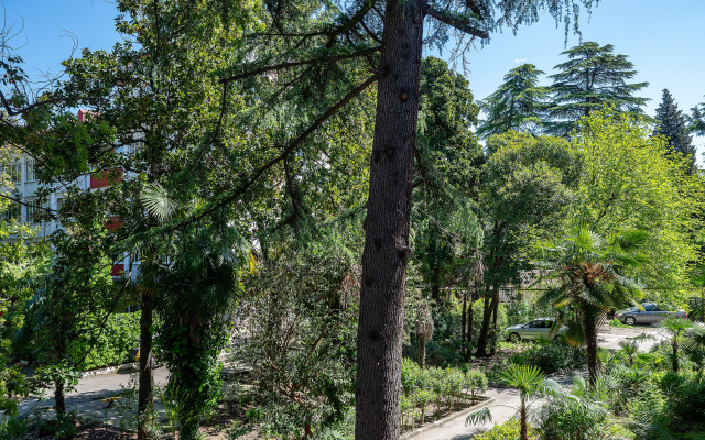 Квартира на Цветном бульваре