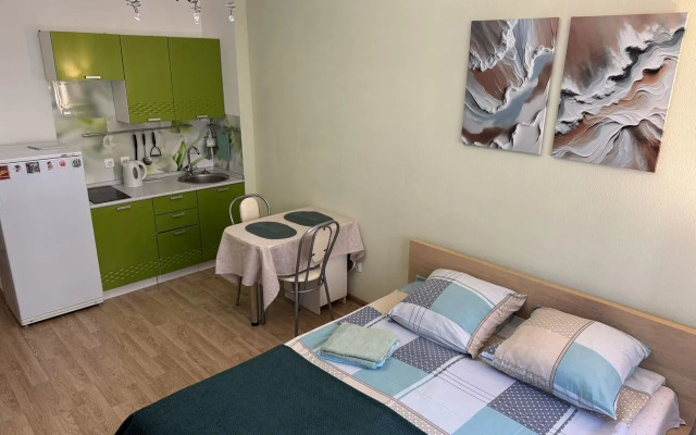 Квартира на Ветеранов 171к5