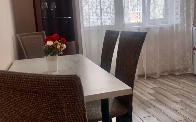 lenina Apart-61 Apartments