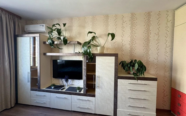 Квартира однокомнатная с видом на Волгу и стaдиoн