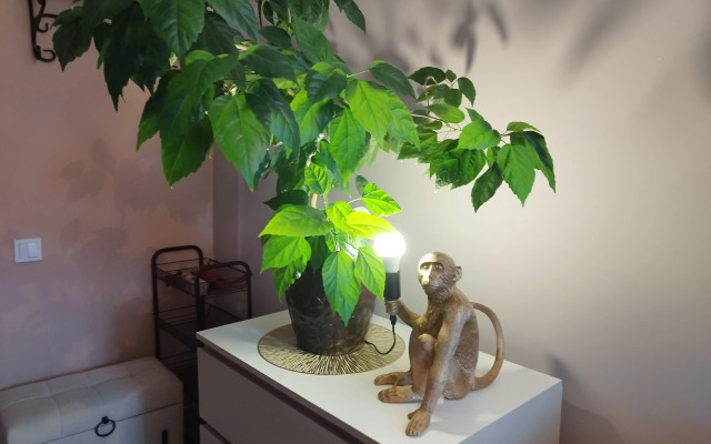 Квартира Lion House