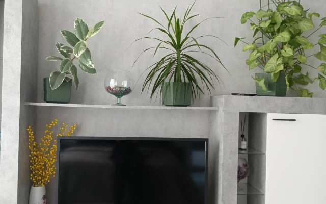 Квартира Однокомнатная квартира