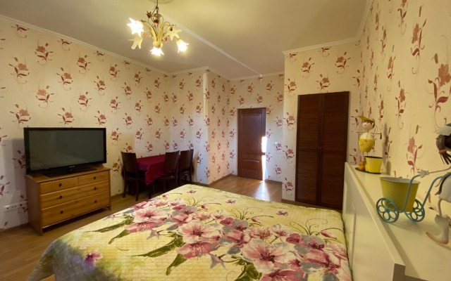 Samotsvet Na Ligovskom Prospekte Apartments