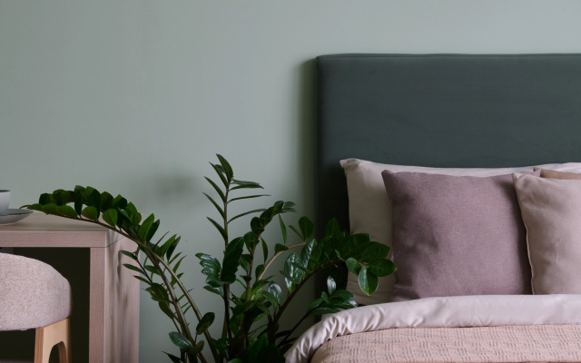Studiya Botanika Flat