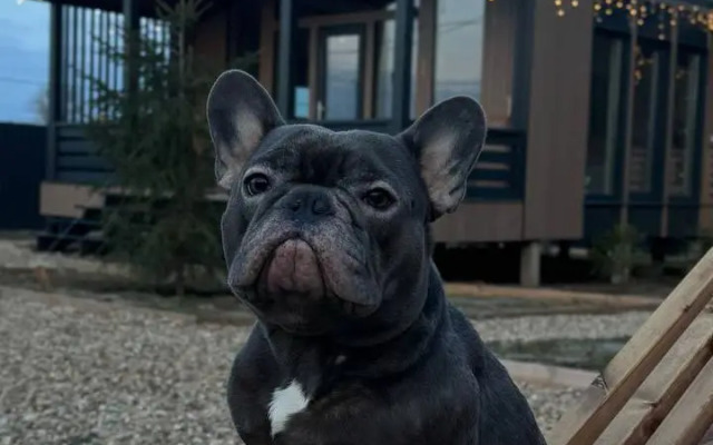 Частный дом Vremya Otdykha