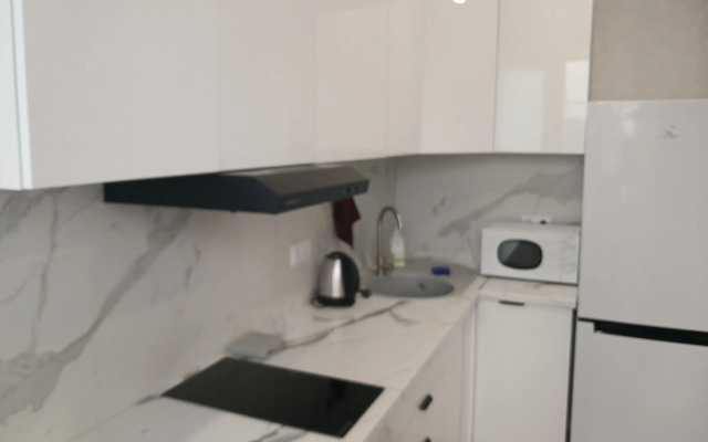 Квартира на Нансена 103/1/6 (48)