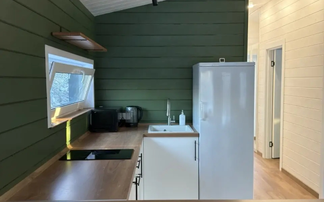 Частный дом в лесу