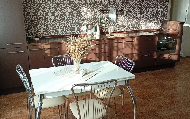 Квартира Двухкомнатная Студия в Тихом Центре Левого Берега