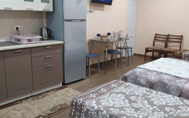Studiya 38 M2 utopayuschiy v Zeleni Private House