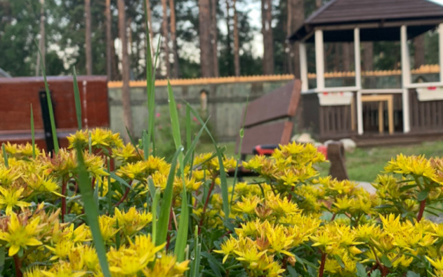 Мини-отель Подснежник