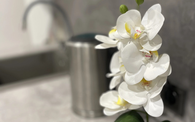 Квартира в центре Воронежа