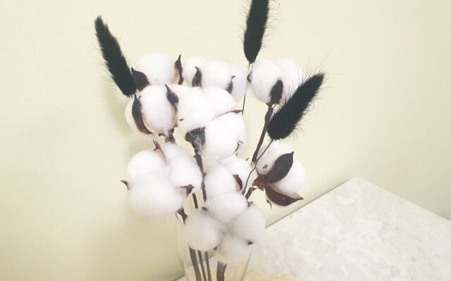 Квартира Хохлова 3