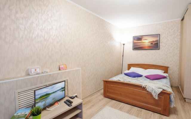 Апартаменты 9 ночей в центре на Анохина 37