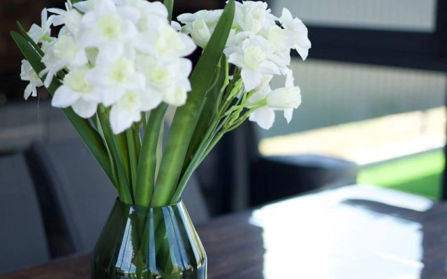 Частный дом Aviator