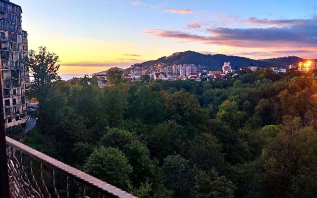 V Tsentralnom Sochi s Bolshoy Lodzhiey Flat