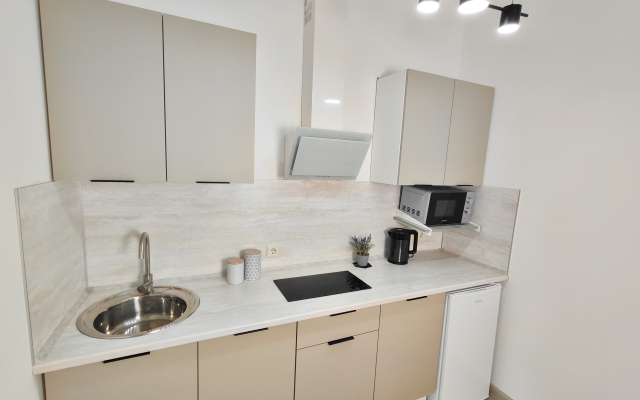 Квартира Студия на Яна Фабрициуса 2/4А (2)