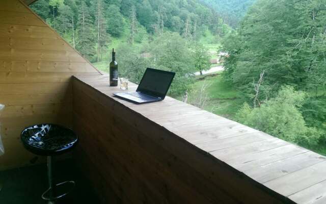 Valley Bakuriani Apart-Hotel