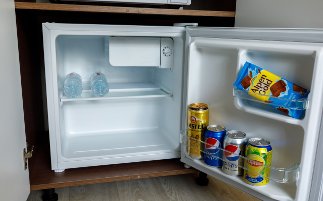 Двухместная улучшенная мини-студия Авион