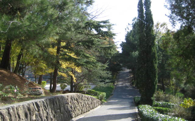 Vostok Pansionat Sanatornogo Tipa