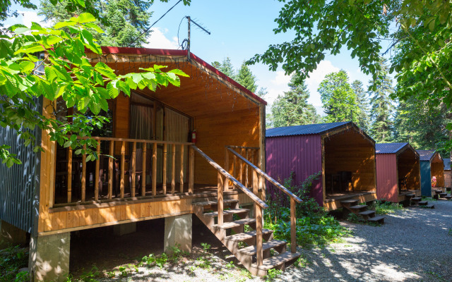 Forest House Resort