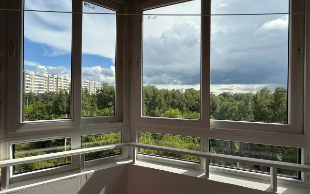 Ryadom s novym Avtovokzalom Flat
