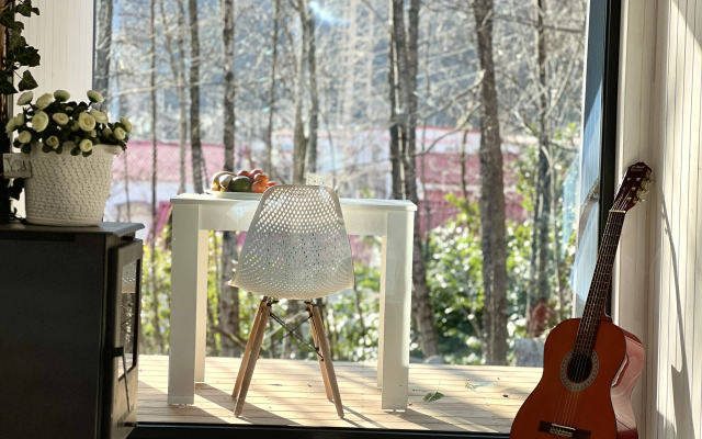 Krasnaya polyana Private house