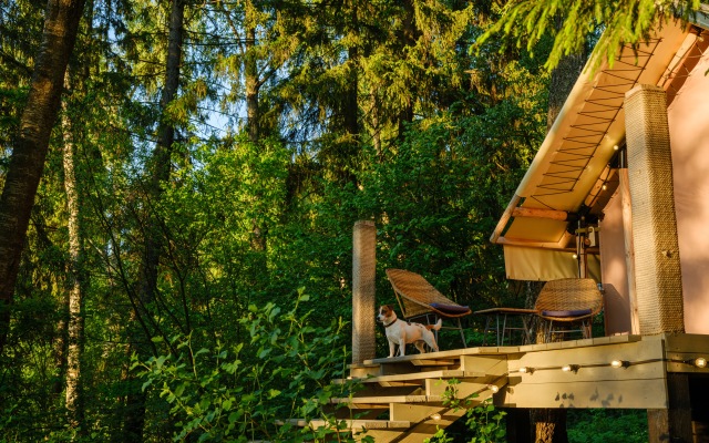 Glamping Pod Nebom Hotel
