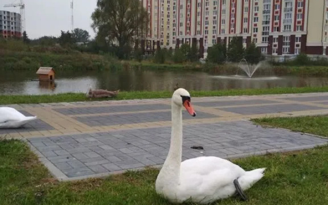 Fistashkovyje Na Solnechnoy Ulitse 17 Apartments