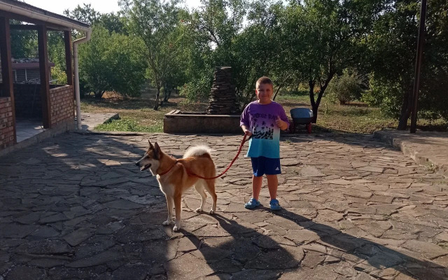 Гостевой дом Crimean Palais