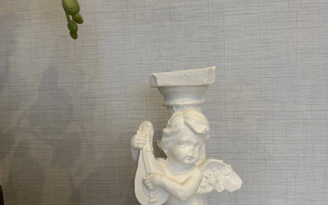 Квартира Новая Светлая в Самом Сердце Нижнего Новгорода