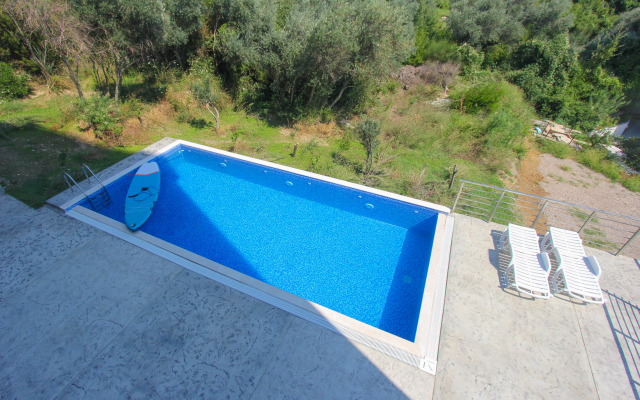 Olive Tree Apartments