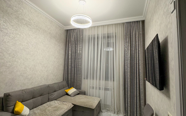 Luxury Leo Apartment Sevan Apartments