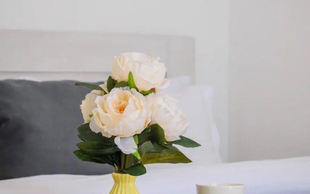 Апартаменты City Plus