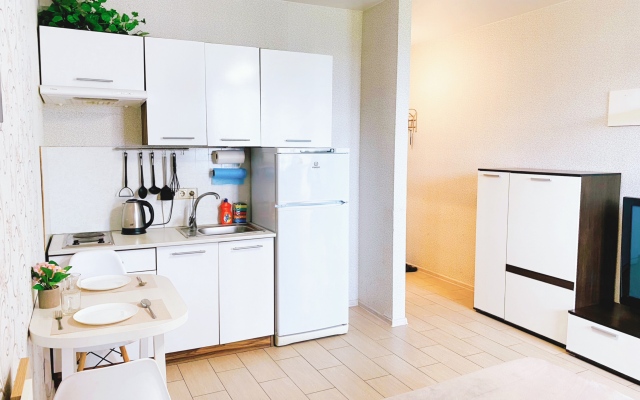 Квартира на Московском шоссе 33к3