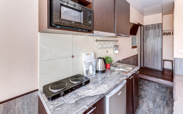 Апартаменты 2 рядом с метро Елизаровская (ОО2)