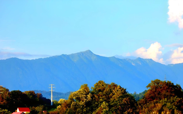 Квартира с видом на горы