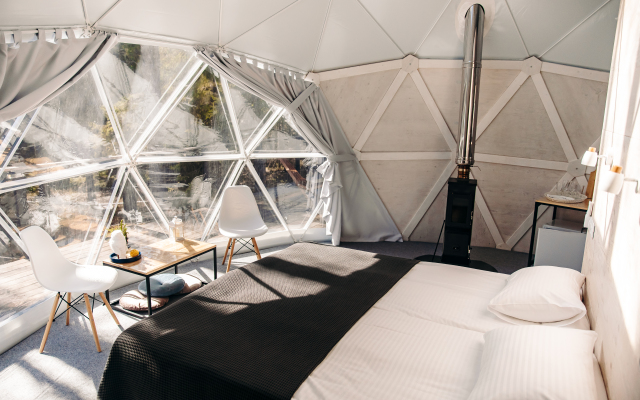 Шале Елки на горке 1