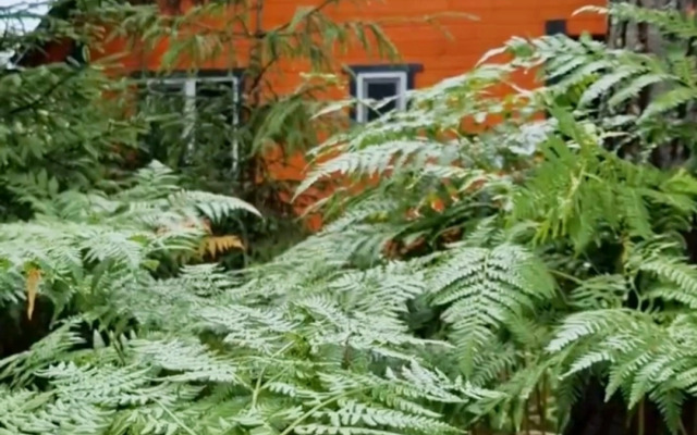 EveGreen Guest house