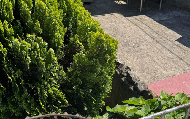 Mariya Guest House