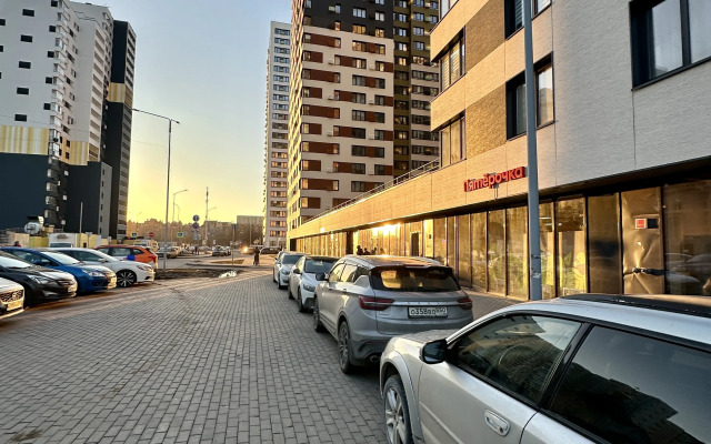 S Dizaynerskim Remontom Flat