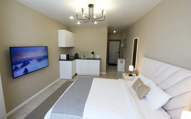 Квартира Студия на улице 40 лет Победы 43Д