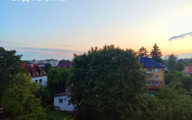 Апартаменты Мансарда Кранцер