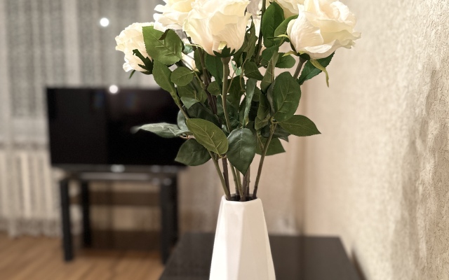 Uyutnye V Samom Serdtse Goroda Apartments