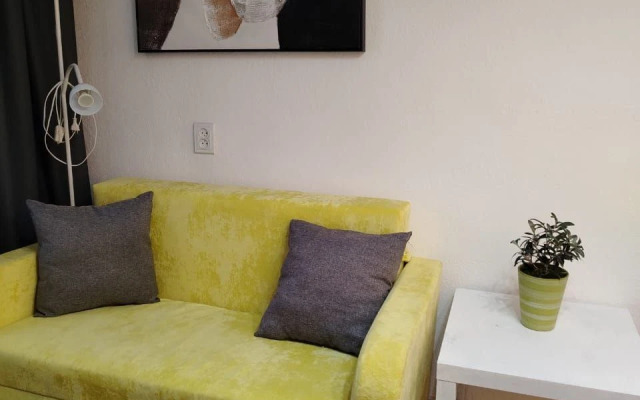 Apartments Uyutnye Apartamenty U Parka